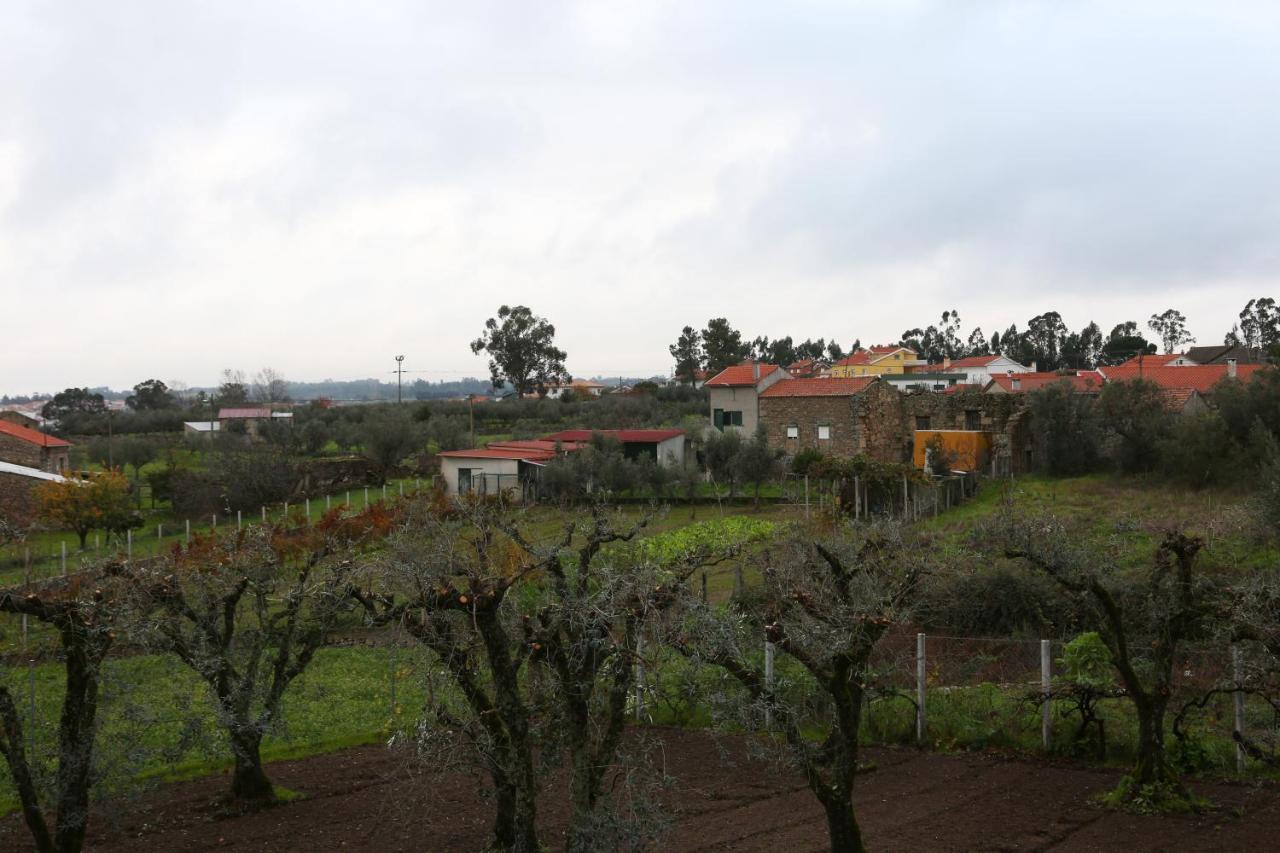 Casa d'Avó Serra da Estrela Seia Exterior foto